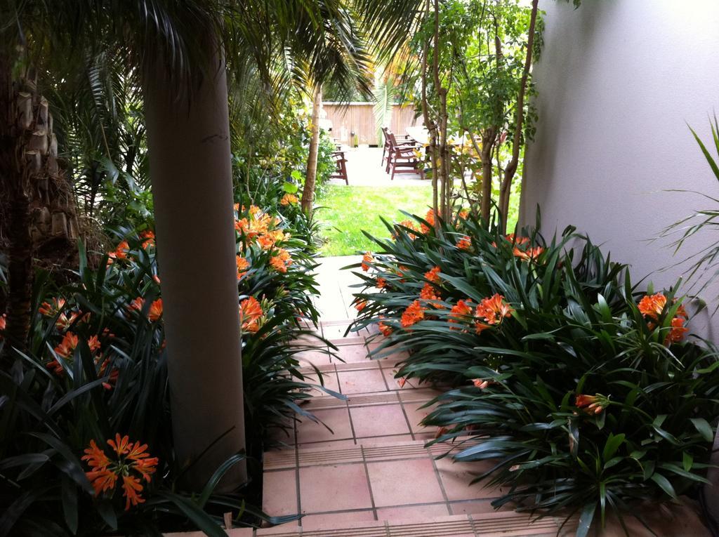 Palm Garden Apartment Auckland Eksteriør bilde